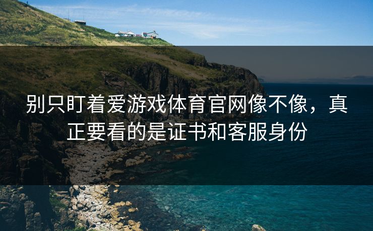 别只盯着爱游戏体育官网像不像,真正要看的是证书和客服身份 别只盯着爱游戏体育官网像不像,真正要看的是证书和客服身份