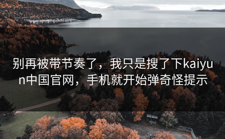 别再被带节奏了，我只是搜了下kaiyun中国官网，手机就开始弹奇怪提示